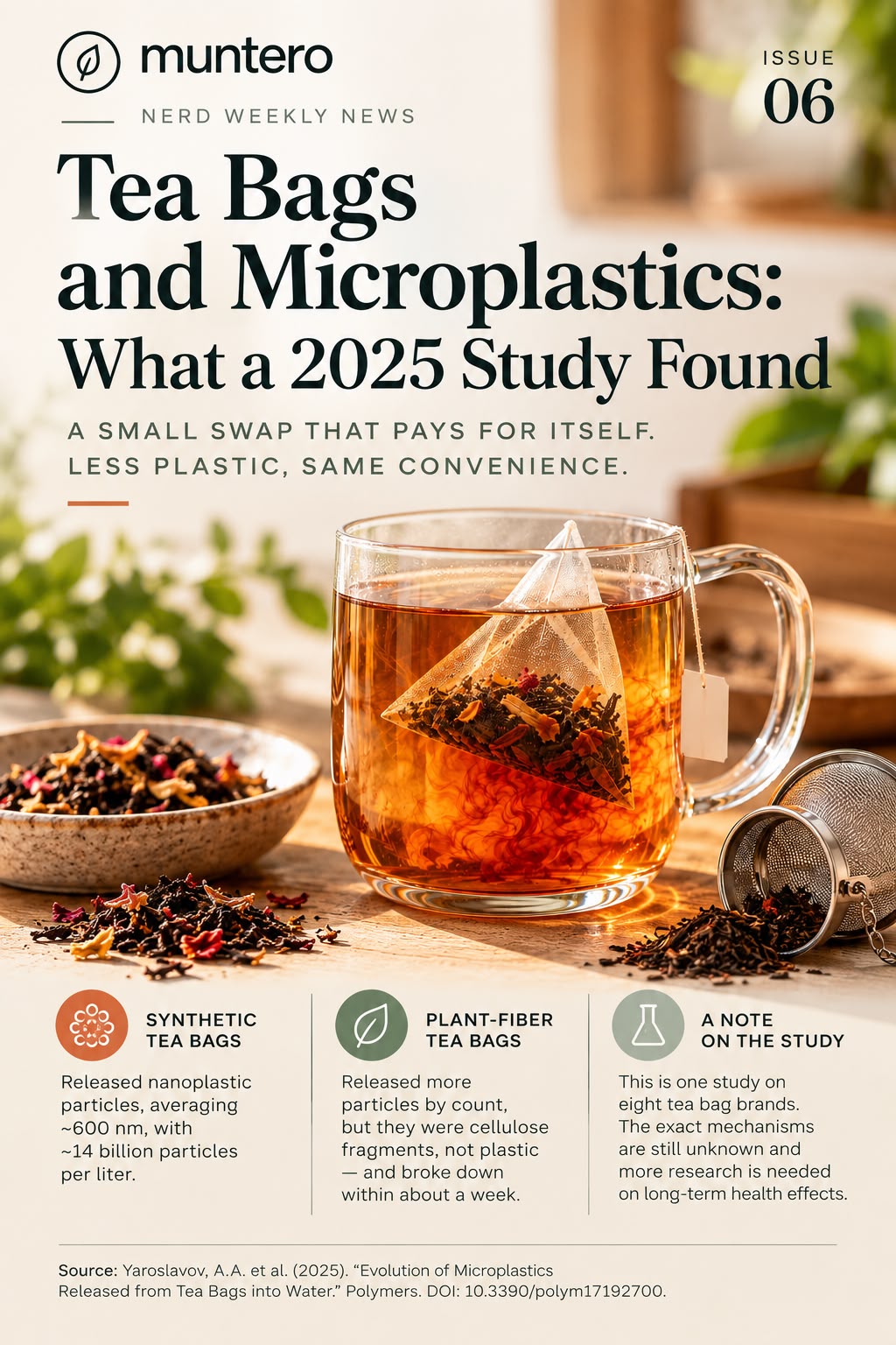 Tea Bags and Microplastics: What a 2025 Study Found
