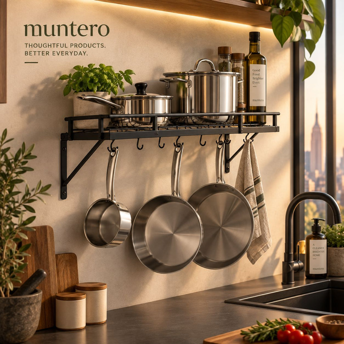 Matte Black Stainless Steel Wall Mounted Pot Rack with 10 Hanging Hooks
